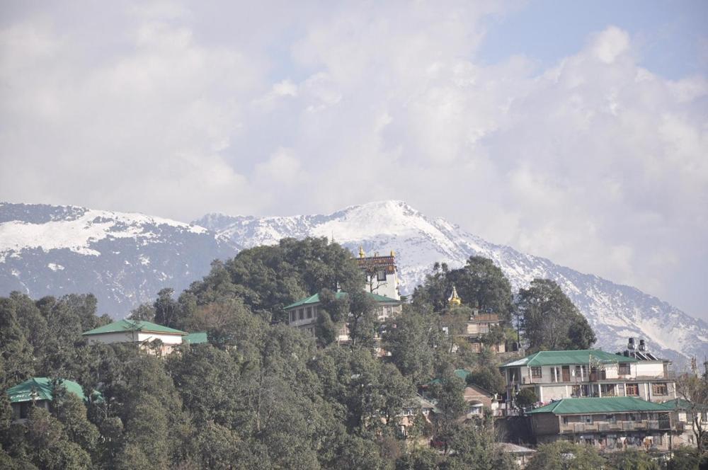 Oyo 28425 Dal Lake Resort Dharamsala Zewnętrze zdjęcie